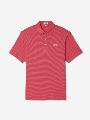 Pink Navy Stripe Sun Day Red Heritage Micro Stripe Polo | 415TVIKQY