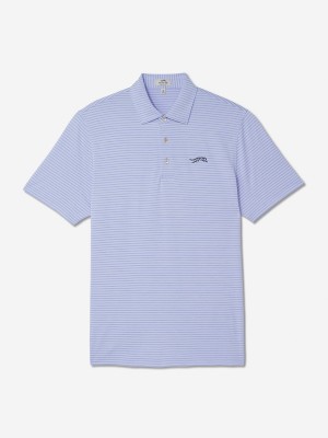 Purple Stripe Sun Day Red Heritage Micro Stripe Polo | 234MJUTXK